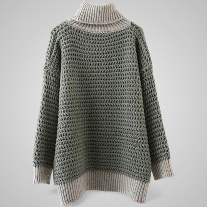 Anika Chunky Knit Turtleneck